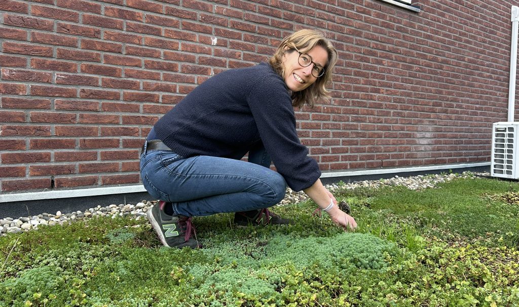 Klimaatburgemeester Stichtse Vecht