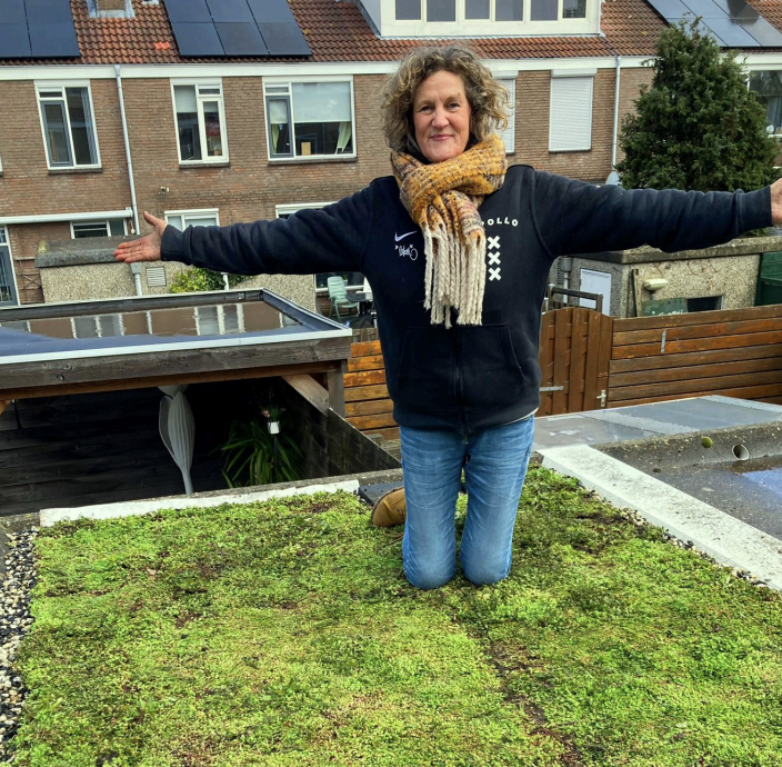 Groen dak